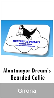 Montmayor Dream's