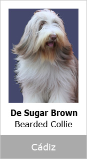 Sugar Brown