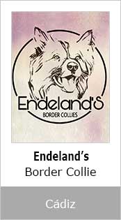 Endeland’s