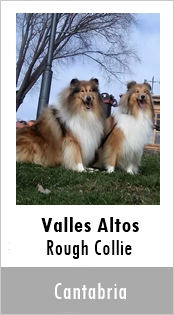 Valles Altos