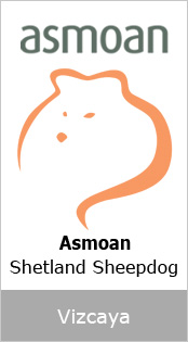 Asmoan