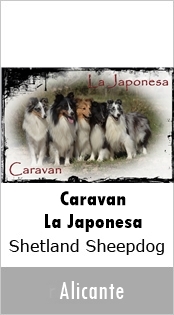 Caravan - La Japonesa