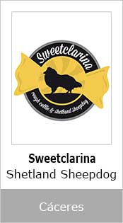 Sweetclarina